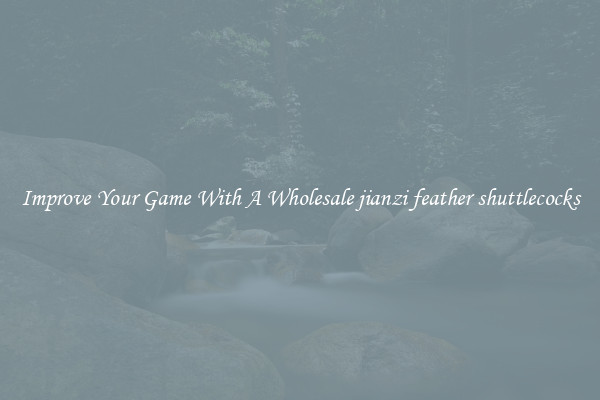 Improve Your Game With A Wholesale jianzi feather shuttlecocks