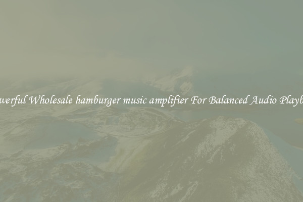 Powerful Wholesale hamburger music amplifier For Balanced Audio Playback