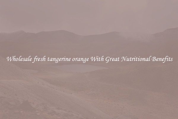 Wholesale fresh tangerine orange With Great Nutritional Benefits
