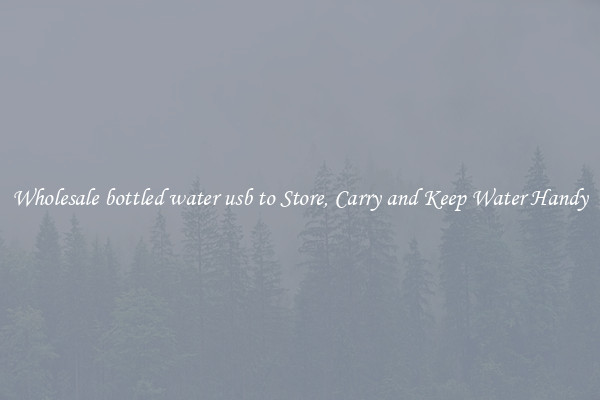 Wholesale bottled water usb to Store, Carry and Keep Water Handy