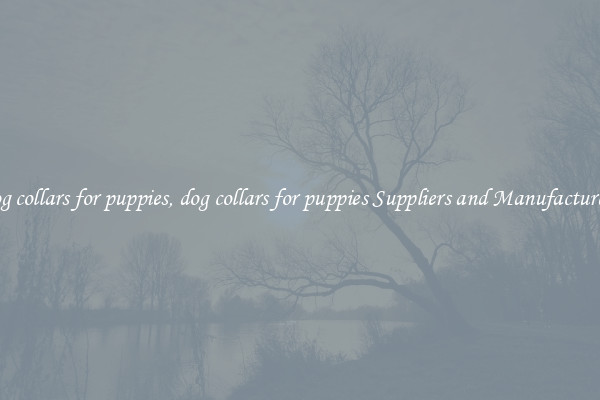 dog collars for puppies, dog collars for puppies Suppliers and Manufacturers