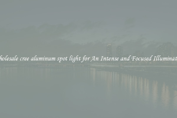 Wholesale cree aluminum spot light for An Intense and Focused Illumination