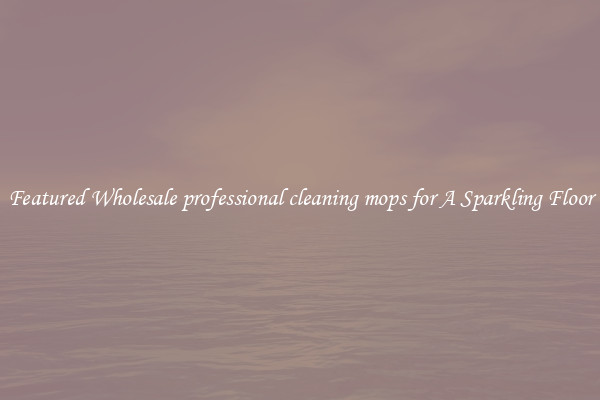 Featured Wholesale professional cleaning mops for A Sparkling Floor