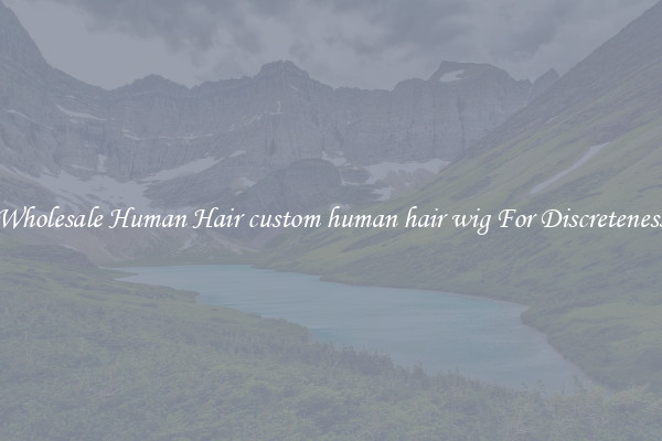 Wholesale Human Hair custom human hair wig For Discreteness