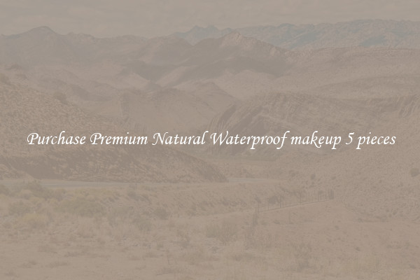 Purchase Premium Natural Waterproof makeup 5 pieces