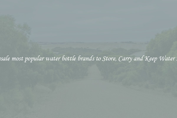 Wholesale most popular water bottle brands to Store, Carry and Keep Water Handy