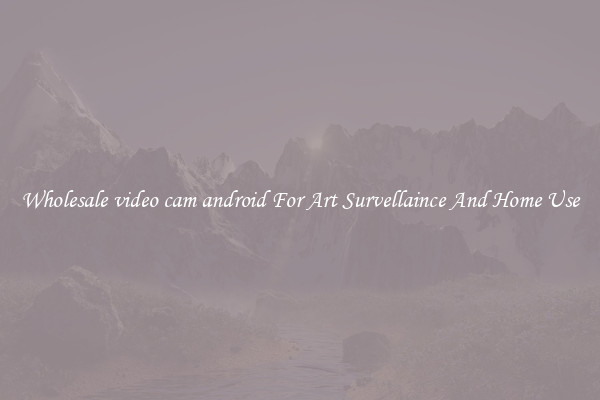 Wholesale video cam android For Art Survellaince And Home Use