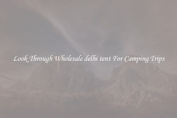 Look Through Wholesale delhi tent For Camping Trips
