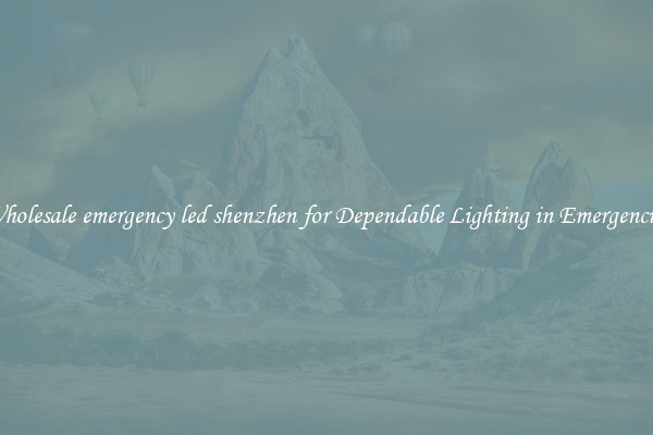 Wholesale emergency led shenzhen for Dependable Lighting in Emergencies