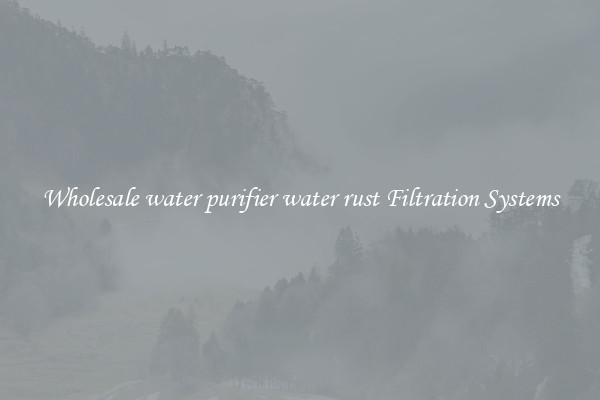Wholesale water purifier water rust Filtration Systems