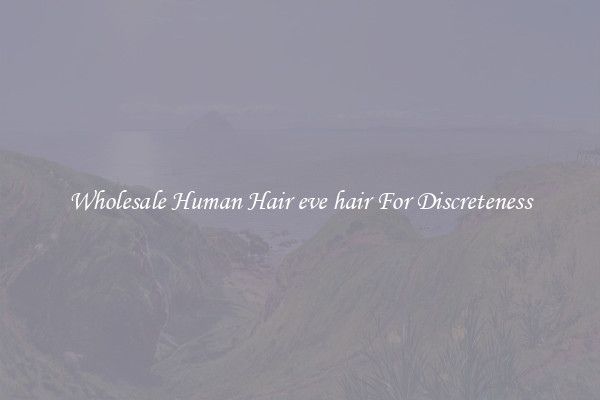 Wholesale Human Hair eve hair For Discreteness