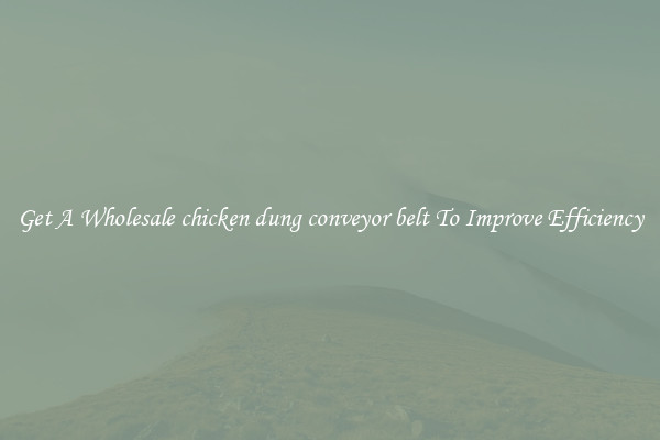 Get A Wholesale chicken dung conveyor belt To Improve Efficiency