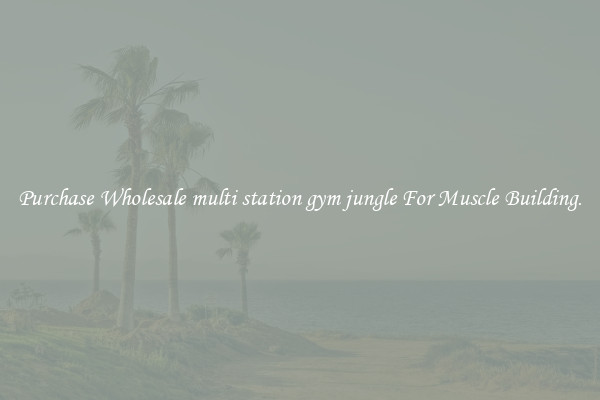 Purchase Wholesale multi station gym jungle For Muscle Building.