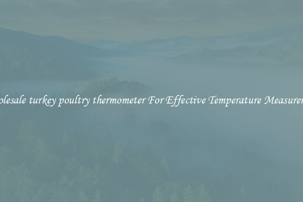 Wholesale turkey poultry thermometer For Effective Temperature Measurement