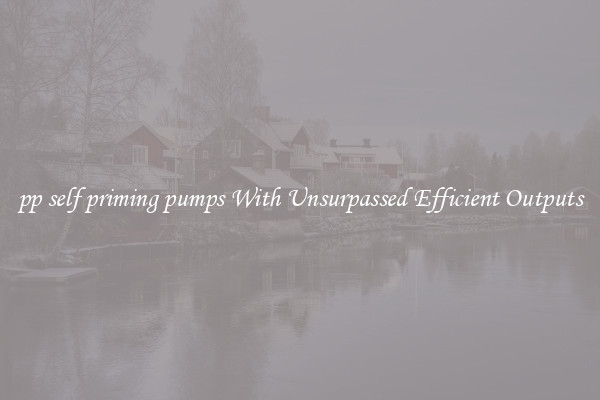 pp self priming pumps With Unsurpassed Efficient Outputs