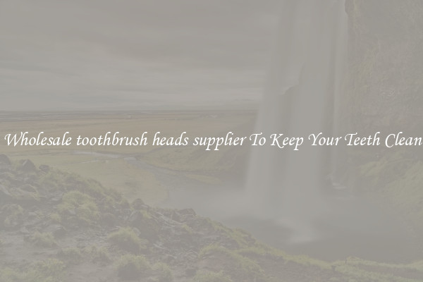 Wholesale toothbrush heads supplier To Keep Your Teeth Clean