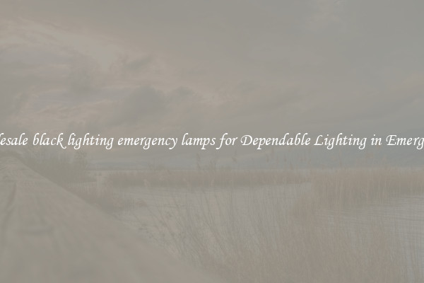 Wholesale black lighting emergency lamps for Dependable Lighting in Emergencies