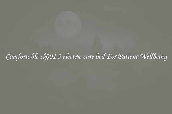 Comfortable sk001 3 electric care bed For Patient Wellbeing