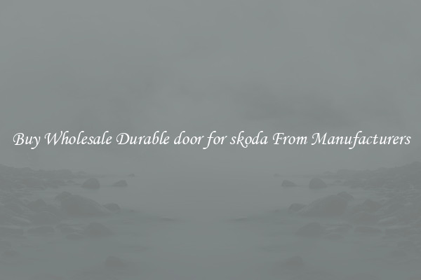 Buy Wholesale Durable door for skoda From Manufacturers