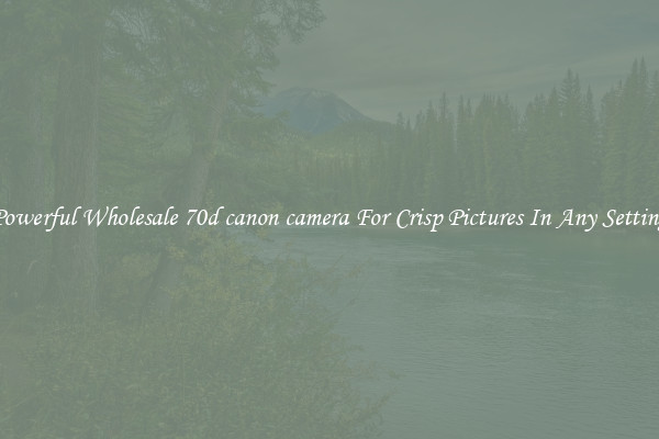 Powerful Wholesale 70d canon camera For Crisp Pictures In Any Setting