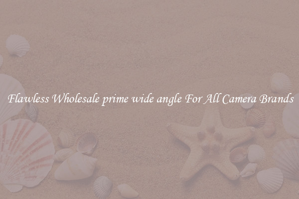 Flawless Wholesale prime wide angle For All Camera Brands