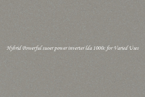 Hybrid Powerful suoer power inverter lda 1000c for Varied Uses